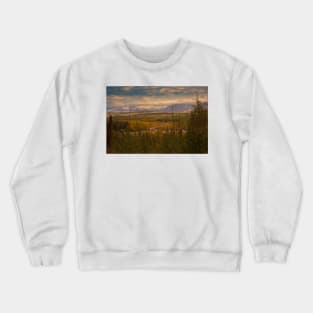 850_5067 Crewneck Sweatshirt